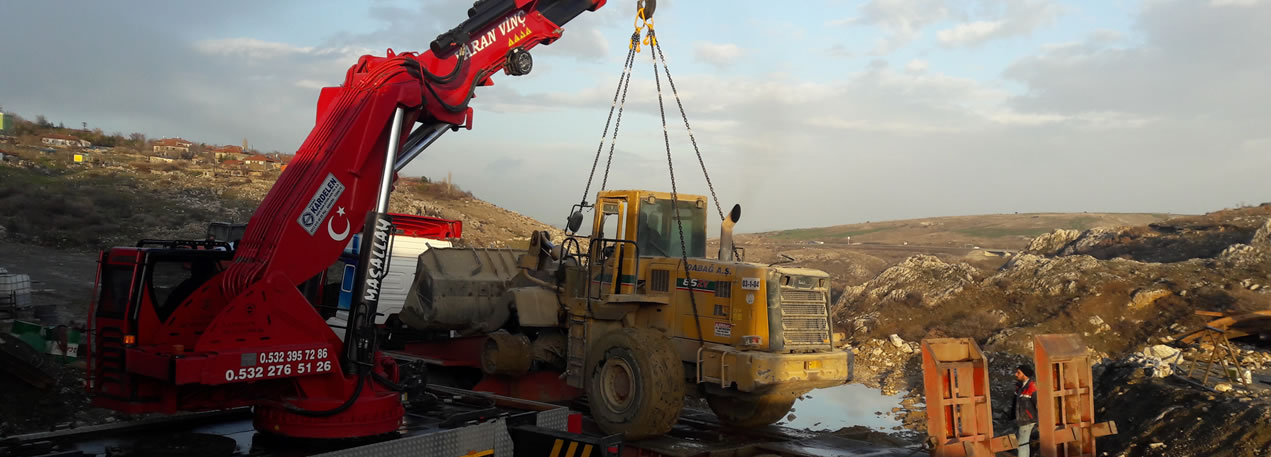 Varan Vinç ve Forklift Kiralama Hizmetleri